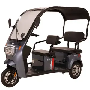 Family used small 650w electric tricycle motorcycle 3 wheel 48v electric rickshaw with passenger seat