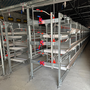 Chuồng gà công nghiệp tự động chuồng thân thiện với ngân sách chuồng cho GÀ ĐẺ để sử dụng tại nhà - Product Image 2