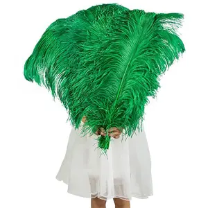 Plumes d'<span class=keywords><strong>autruche</strong></span> vert clair géantes en gros, 40-45 cm - Product Image 1