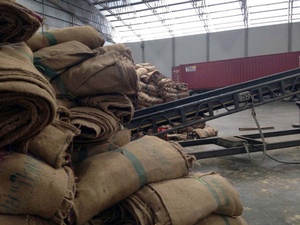 Bolsas de Yute Hasan & Bono de la Mejor Calidad para Uso Agrícola, Listas para Exportar al por Mayor desde Tailandia - Product Image 5