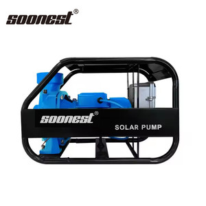 2HP DC Brushless Motor <b>Submersible</b> Solar Water <b>Pump</b> 110V 1500W 2200W Stainless Steel High Head High Flow IP65 Protection Ground - Product Image 2