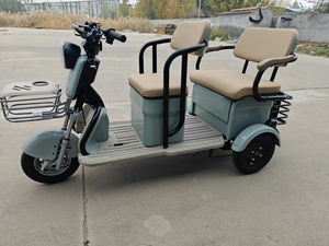 <span class=keywords><strong>Triciclo</strong></span> Eléctrico <span class=keywords><strong>de</strong></span> <span class=keywords><strong>Carga</strong></span> <span class=keywords><strong>Económico</strong></span> <span class=keywords><strong>de</strong></span> 3 Ruedas, Motor <span class=keywords><strong>de</strong></span> 500W/600W/750W, Controlador Inteligente, 48V/60V, Nuevo - Product Image 6