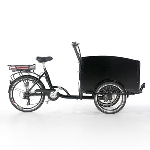 Vélo cargo électrique à 3 roues pour adultes, à chargement frontal, pour le <span class=keywords><strong>transport</strong></span> d'enfants, tricycle électrique, vélo <span class=keywords><strong>hollandais</strong></span> mobile avec boîte en bois - Product Image 2