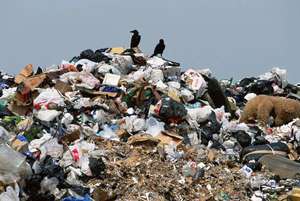 Motor para Planta <span class=keywords><strong>de</strong></span> Reciclaje <span class=keywords><strong>de</strong></span> <span class=keywords><strong>Residuos</strong></span> Sólidos <span class=keywords><strong>Urbanos</strong></span> BAONAN, para Papel, Cartón, Metal, Botellas PET, UBC y Desechos <span class=keywords><strong>de</strong></span> Alimentos - Product Image 6