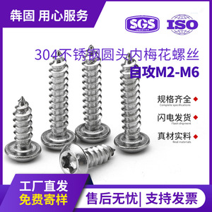 Tornillos Autorroscantes de Cabeza Torx Interna de Acero Inoxidable 304, Cabeza Plana M2 M3 M4 M5 M6, Industria de la Construcción Metálica - Product Image 5
