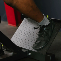 Chaise romaine réglable Tellus, hyperextension, équipement de fitness, cadre en acier inoxydable pour la musculation, multi-usages