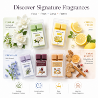 Nouveaux produits OEM pas cher cire de soja tarte fondre boîtes à clapet 6/12 cavité emballage blister pour bougies de vacances existait moule