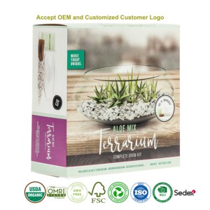 Kit de culture DIY unique et mignon en verre pour aloe vera, petit pot de <span class=keywords><strong>terreau</strong></span> pour enfants, livraison rapide, utilisation à domicile - Product Image 3