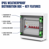 Boîtier de distribution extérieur étanche Wanbo-481 IP65 avec couvercle transparent en PC, clip de verrouillage vert, rail DIN, MCB, SPD