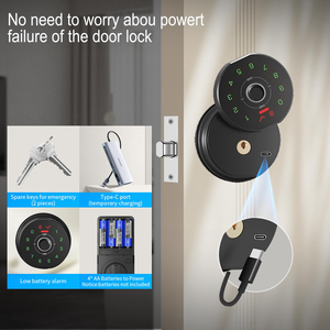 Serratura Intelligente Personalizzata per Ufficio, Ingresso Senza Chiave Sicuro, Serratura Digitale con Supporto App, Serratura Elettronica per Hotel e Casa - Product Image 3