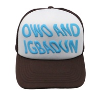 Casquette de baseball unisexe ajustable en mousse structurée avec logo de marque imprimé en relief, vente en gros