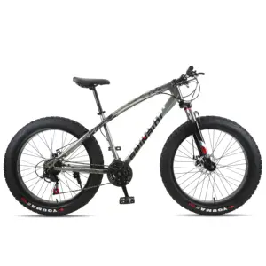 Hot Sale Adult 24 Inch 26 Inch 21 24 27 30 Speed Full Suspension Fat Bike Snow Beach Mountain Bike for men