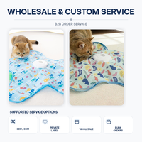 Tapis de jeu électrique pliable pour chat avec logo personnalisé, vente en gros, OEM ODM, jouets pour animaux de compagnie, nouveautés
