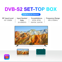 Récepteur satellite numérique DVB-S2 Mini Full HD pour le Moyen-Orient et l'Afrique du Nord, boîtier en plastique, pour chaînes arabes, 12 mois