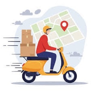 MAC stok mevcut Internet sürümü mevcut özel fiyat için teslimat binici sevk sistemi - Product Image 4