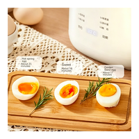 Pemasak Telur Cepat Rumah Tangga, Pemasak Telur Mini 300W untuk Telur Kukus, Pemasak Telur Pintar Otomatis Penuh, Mesin Perebus Telur Elektrik