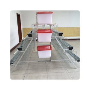 Jaulas para gallinas ponedoras de <span class=keywords><strong>segunda</strong></span> <span class=keywords><strong>mano</strong></span>, capacidad para 96 aves, para 2000 aves, para pequeñas granjas, Kenia - Product Image 3