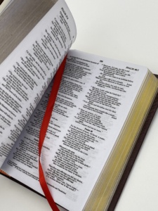 Bible NIV Sainte Bible Nouvelle Version Internationale Couverture rigide Impression numérique Papier offset - Product Image 3
