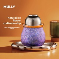 Ensemble théière et tasse de bureau MULLY en titane pur, forme gourde - Contenants isothermes pour une boisson saine