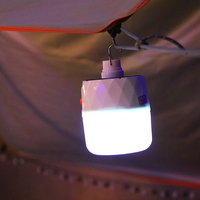 Ampoule LED solaire rechargeable par USB 80W avec indice de protection IP65, double couleur de lumière (chaud/blanc), certifiée CE et RoHS, à intensité variable pour le camping