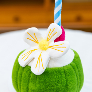 Lindos juguetes de peluche de coco <span class=keywords><strong>verde</strong></span>: adorables muñecos de frutas rellenos con flores y paja - Product Image 3