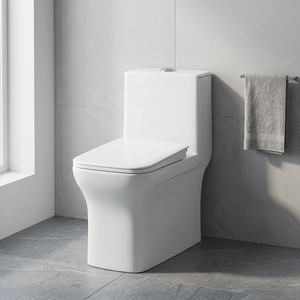 WC monobloc en céramique à poser au sol avec réservoir intégré, blanc, forme carrée ou ronde - Product Image 1