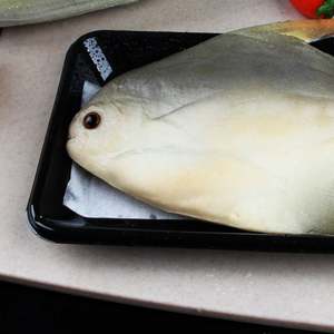 Serviette absorbante en coton biologique, en pâte de cellulose, compostable, importée des États-Unis - Product Image 4