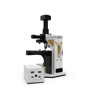 Motorized Stage Auto-Scan Autofocus Electron <b>Microscope</b> Computer View Metallographic Scanner for Metal/Mineral Analysis - Product Image 5