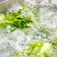 Machine à laver les légumes à bulles d'ozone personnalisée pour les pousses de haricots, les champignons, les légumes-feuilles, système de nettoyage