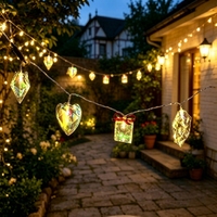 Guirnalda de Luces LED con Estrella de Navidad Iluminada, Hechas a Mano con Material PET, Decoración Brillante y Colorida, Regalo de Navidad o Cumpleaños
