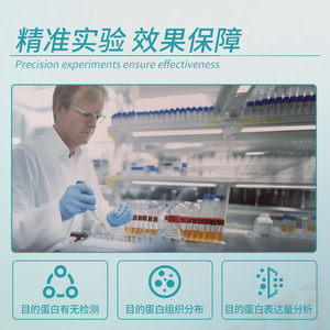 Colección de Reactivos de Laboratorio Labshark Wb, Buffer de 1 mol/L para Análisis de Inmunoblótico - Product Image 5