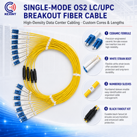 Kabel Jumper Patch Cord Optik KEXINT Factory 24 Fiber Single Mode OS2 Duplex LC ke LC UPC Low Loss Breakout