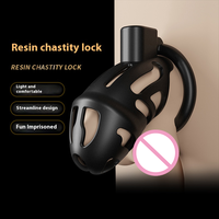 Cage de chasteté noire de qualité supérieure pour homme avec verrouillage SM, ceinture de chasteté réglable en plastique pour hommes