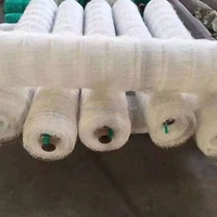 Komkommertrellis Net Voor Kruipen, Plastic Plantsteun Klimgaas