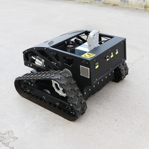 Giá Rẻ Giá Điều Khiển Từ Xa Cắt Robot Vườn Cắt 550Mm Chiều Rộng Thiết Kế Cao Su Theo Dõi Tự Hành Mini Flail Máy Cắt - Product Image 2