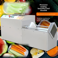 Tijdbesparende, efficiënte, gemotoriseerde, commerciële, multifunctionele groente- en fruitsnijmachine, strokenvormig, roestvrij staal, hoogwaardig