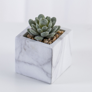 Mini Casa de plástico decoración suculentas Bonsai Artificial planta <span class=keywords><strong>en</strong></span> mármol de cemento Pot - Product Image 4