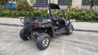 Buggy tout-terrain 200CC 4X2 / Buggy de dune / Karting EEC