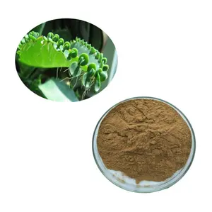 Kosmetik Kelas Murni Kalanchoe Pinnata Daun Extrait Bubuk