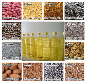 Macchine Automatiche per l'Estrazione di Olio Vettore di Bacche di Alloro Pressato a Freddo per la Produzione di Olio di Soia e Oliva - Product Image 5