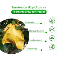 Sacs biodégradables Mango Protection avec impression offset pour la culture de fruits de jardin, utilisation anti-insectes