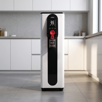 Distributeur d'eau bouillante instantanée et froide avec réservoir de chauffe pour eau bouillante