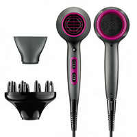 Sèche-cheveux ionique professionnel pour salon et barbier avec diffuseur, moteur DC 2200W, design compact pour usage commercial, camping-car et hôtel