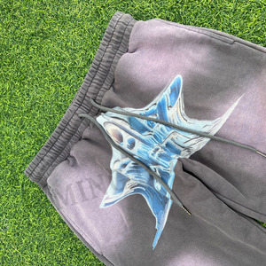 Design Street Style Sun Fades Pantalon de survêtement surdimensionné Dtg Print Logo Pantalon de survêtement évasé lavé à l'acide - Product Image 3