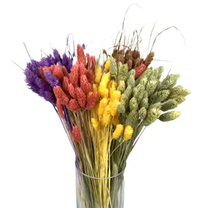 Wedding Home Decor Dried Flower Bouquet Dried Jewel Grass Dog Tail Grass Preserved Natural Real Dried Phalaris Flower