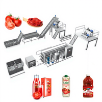 Volledig automatische industriële tomatenpuree- en sapverwerkingsmachine van roestvrij staal SUS304/316 voor productie in een fabriek
