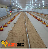 Système automatique d'alimentation et d'abreuvement pour volailles avec moteur italien Transtecno pour élevages de poulets de chair, pondeuses et reproducteurs