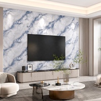 Panneau de rénovation WYRAX en PVC effet marbre UV gris clair Carrara 1220x2440mm 3.0mm pour couloir d'appartement, facile à nettoyer