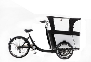 Vélo cargo électrique 250W à <span class=keywords><strong>3</strong></span> roues <span class=keywords><strong>pour</strong></span> la famille - Product Image 6