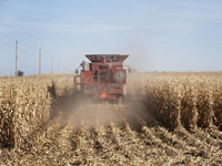 Moissonneuse-batteuse fiable GN60 : Technologie de séparation avancée pour une productivité élevée et une récolte de grains propres